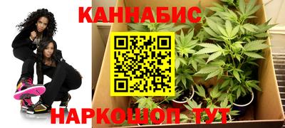 индика Чебаркуль