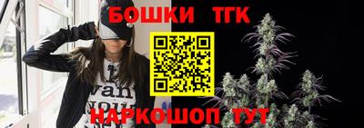 индика Чебаркуль