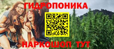 молекула духа Чебоксары