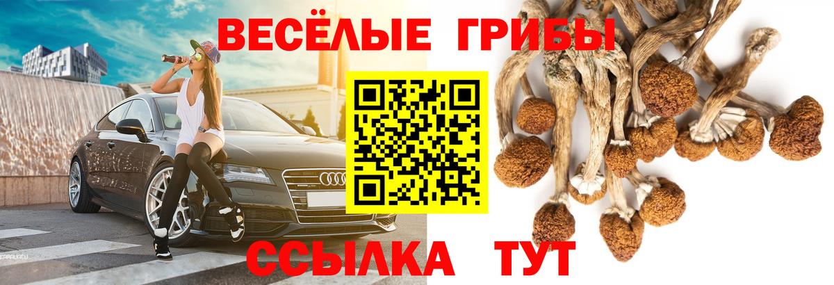 Батайск  Галлюциногенные грибы мицелий  Галлюциногенные грибы мицелий  Вход с VPN 